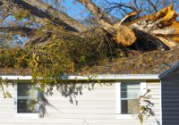 Property Damage Liability Insurance